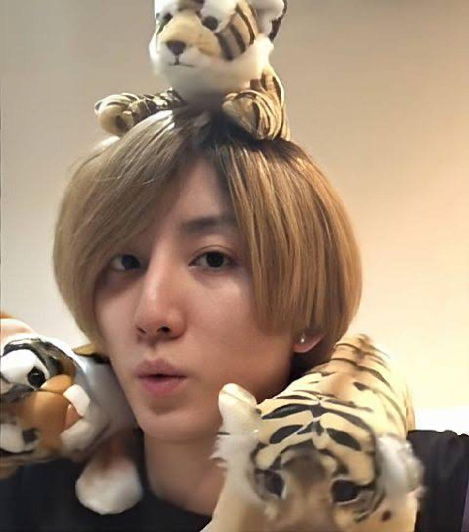 SixTONES 京本大我 トラ ぬいぐるみ - メルカリ