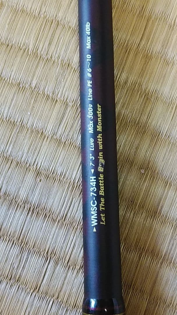 アブ ワールドモンスター 734H 怪魚 ビッグベイトトーマン ピラルク遠征