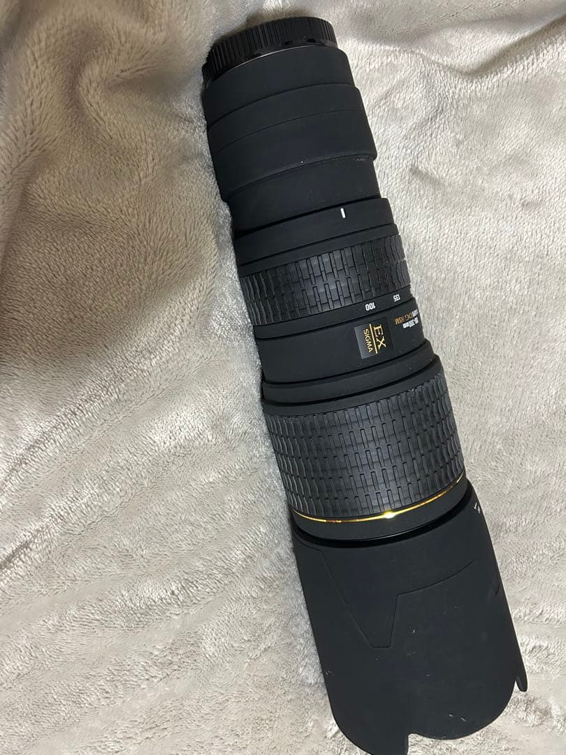 Sigma APO 100-300mm F4 EX DG HSM キヤノン