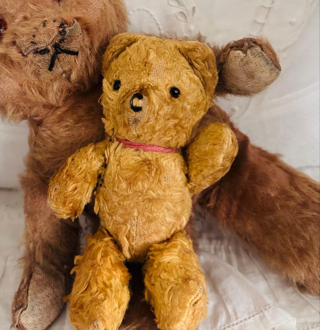 本日限定ちびʕ•ᴥ•ʔ アンティークベア　ヴィンテージベア　チュチュスカート付き