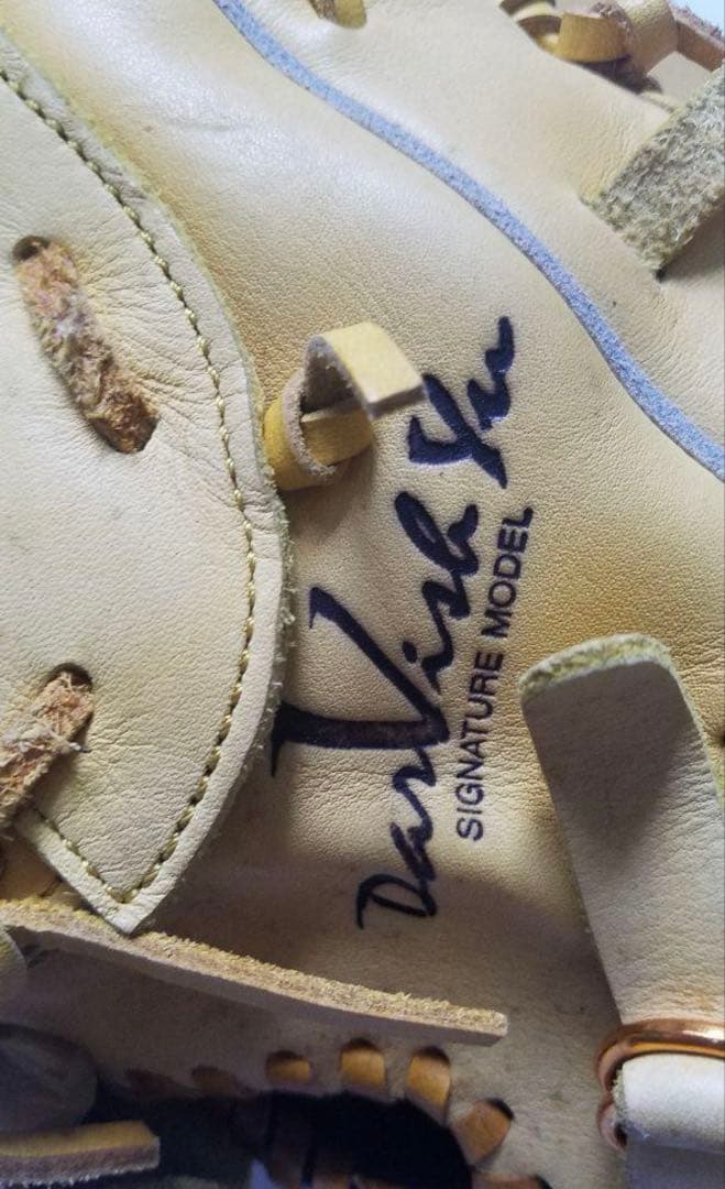 【ダルビッシュモデル】ナイキ　成人用軟式野球グローブ