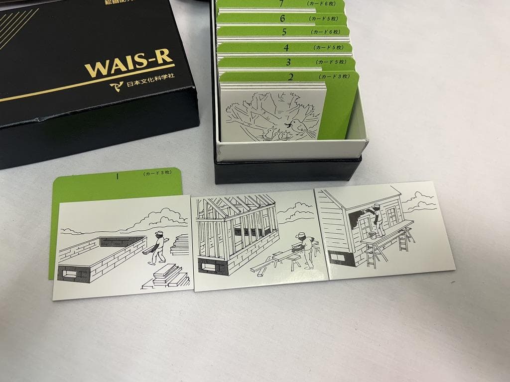 t*n様 日本文化科学社 成人知能検査 WAIS-R 積木 絵画 配列 組み合せ