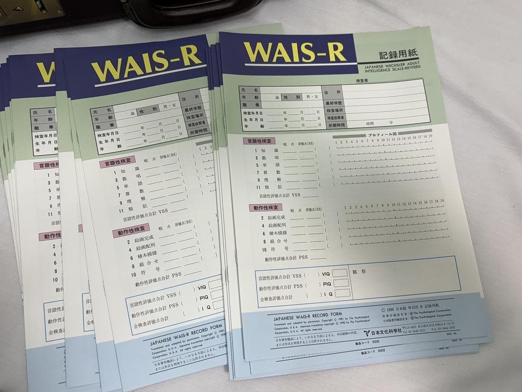 t*n様 日本文化科学社 成人知能検査 WAIS-R 積木 絵画 配列 組み合せ