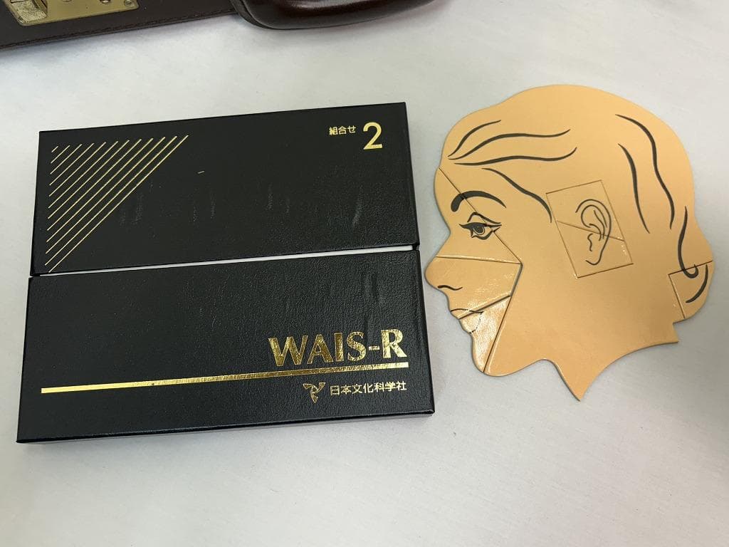 t*n様 日本文化科学社 成人知能検査 WAIS-R 積木 絵画 配列 組み合せ