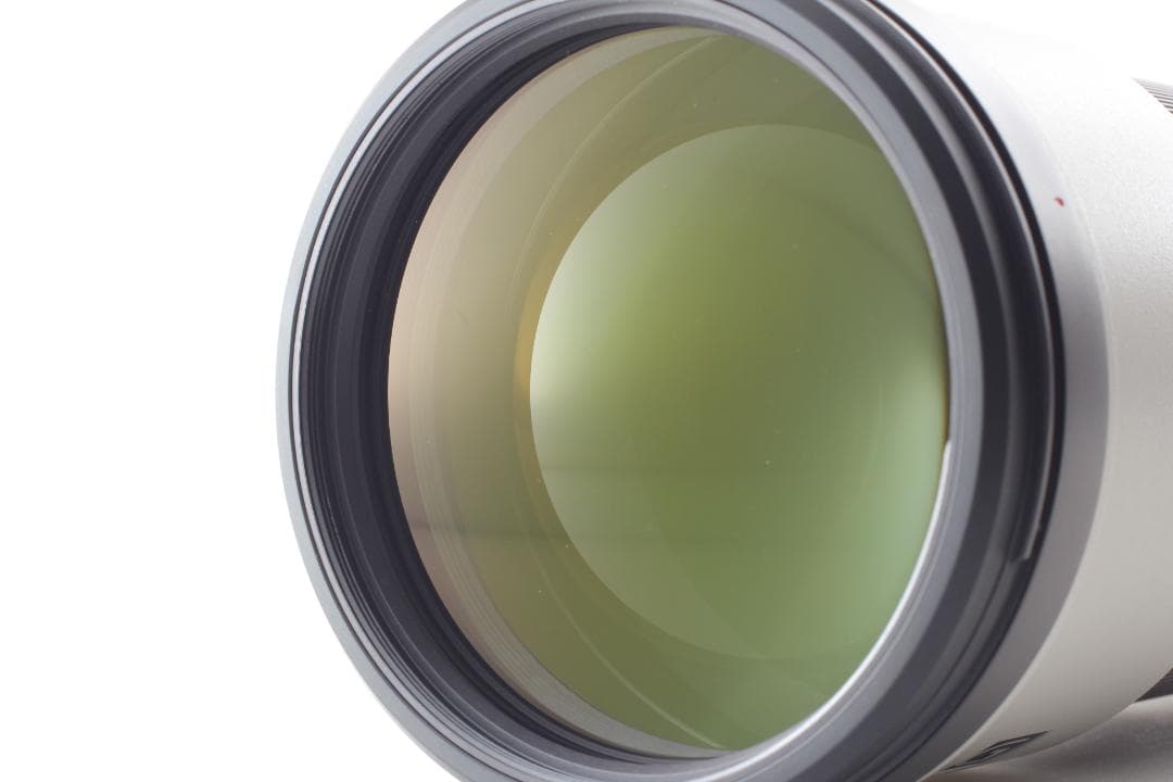 SONY FE 200-600mm F5.6-6.3 G OSSレンズ 新品同様