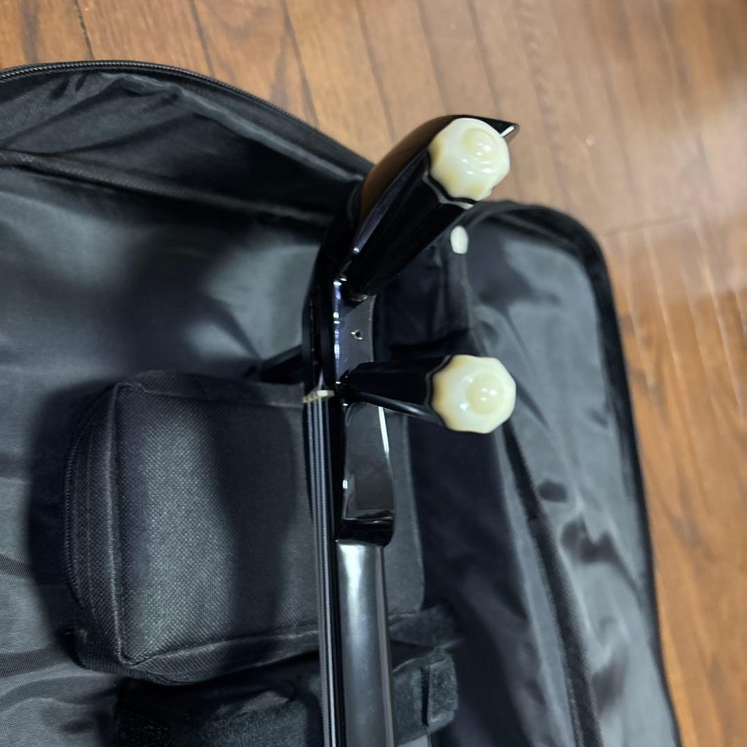 三線　沖縄三線　ケース付き　ジャンク渡し