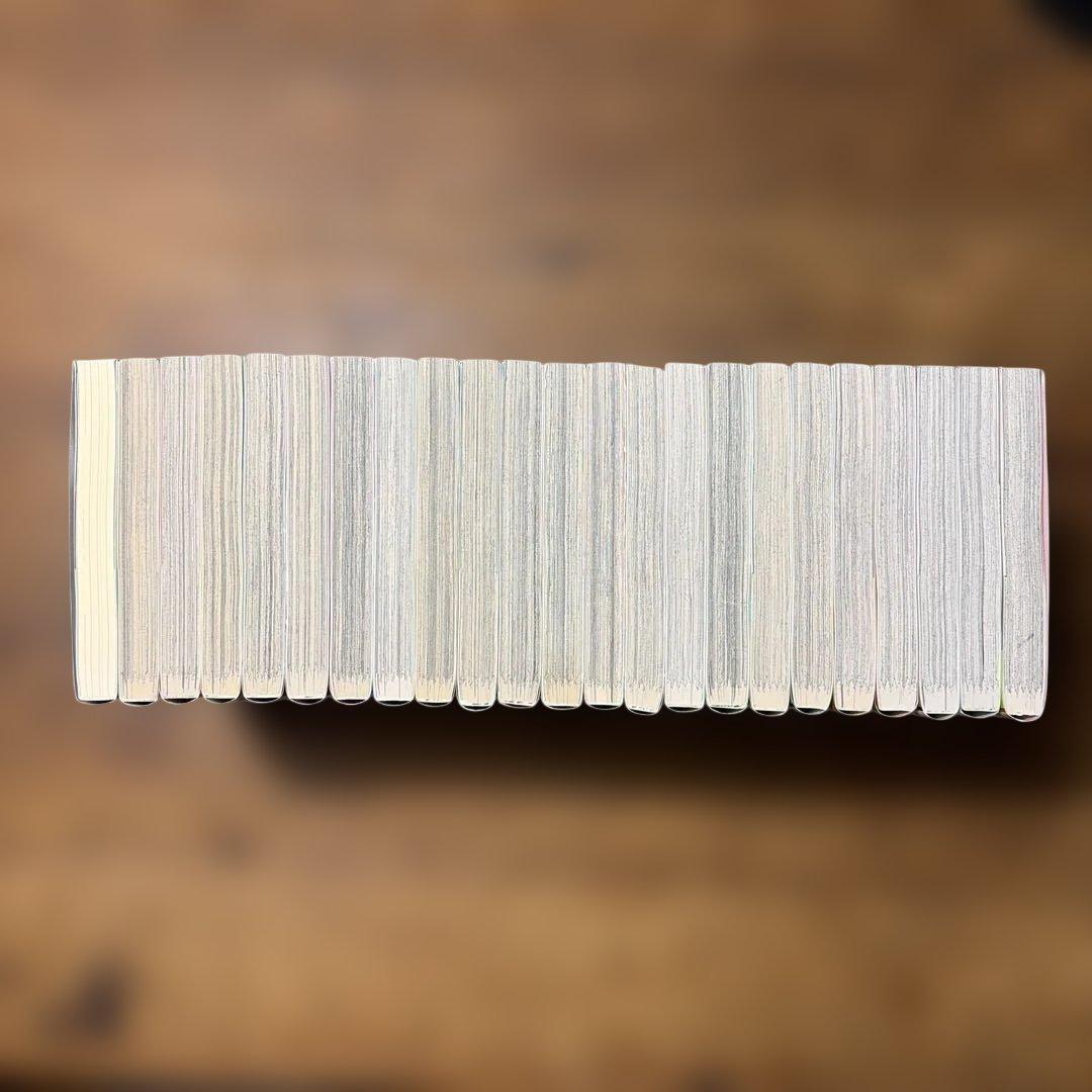 チェンソーマン 1〜22巻　小説　全23冊　全巻セット