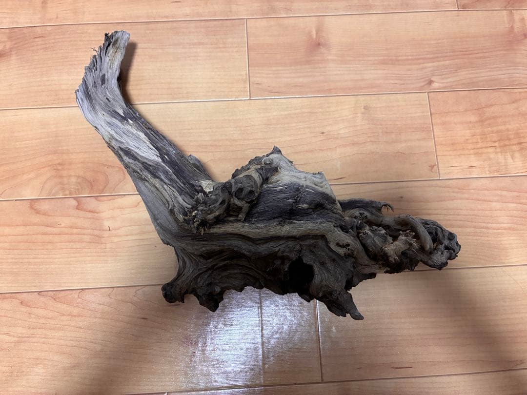 だぃすけ　水槽セット ライト ヒーター ポンプ マット ガラス蓋　流木付き