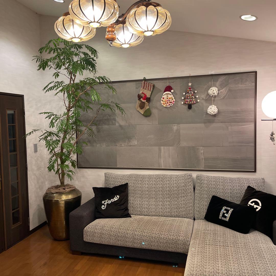 エバーフレッシュ　特大サイズ　幹太　観葉植物　カッシーナ　アクタス