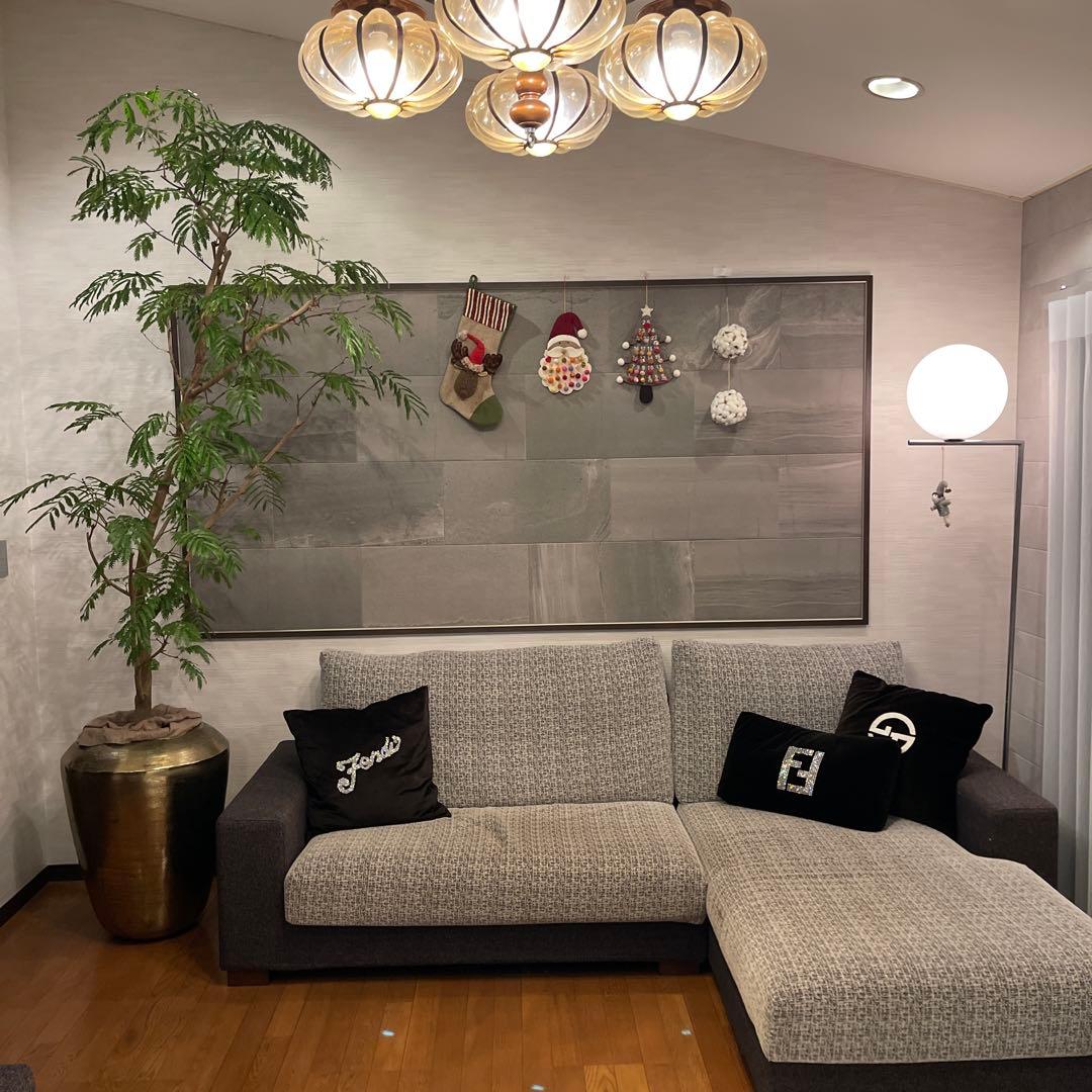 エバーフレッシュ　特大サイズ　幹太　観葉植物　カッシーナ　アクタス