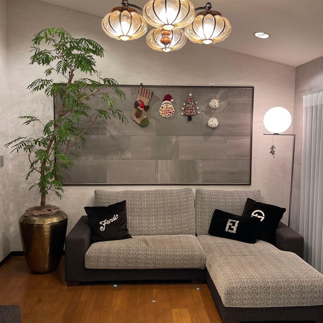 エバーフレッシュ　特大サイズ　幹太　観葉植物　カッシーナ　アクタス