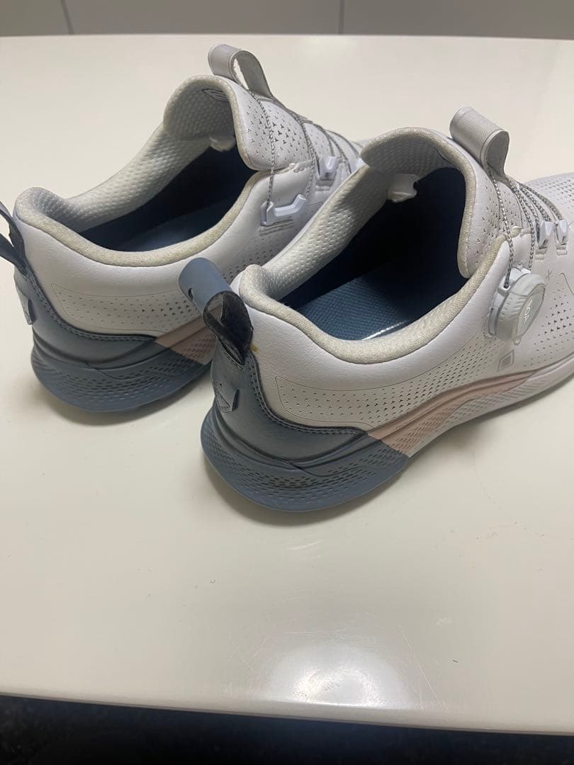 ゴルフシューズ　ミズノゴルフ　25.0cm