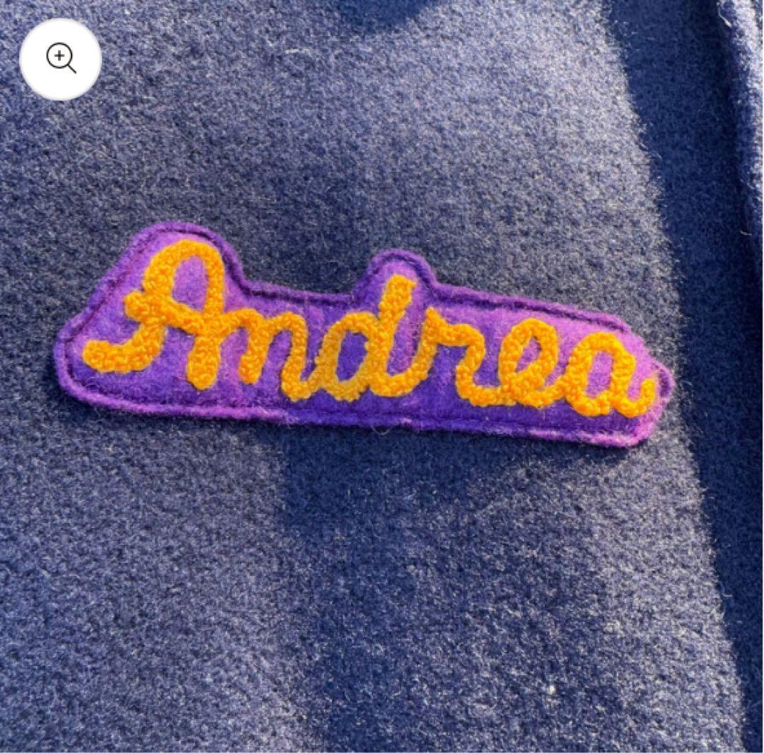 購入価格2.8万スタジャン　スクーカム　チャンピオンリバースウィーブ