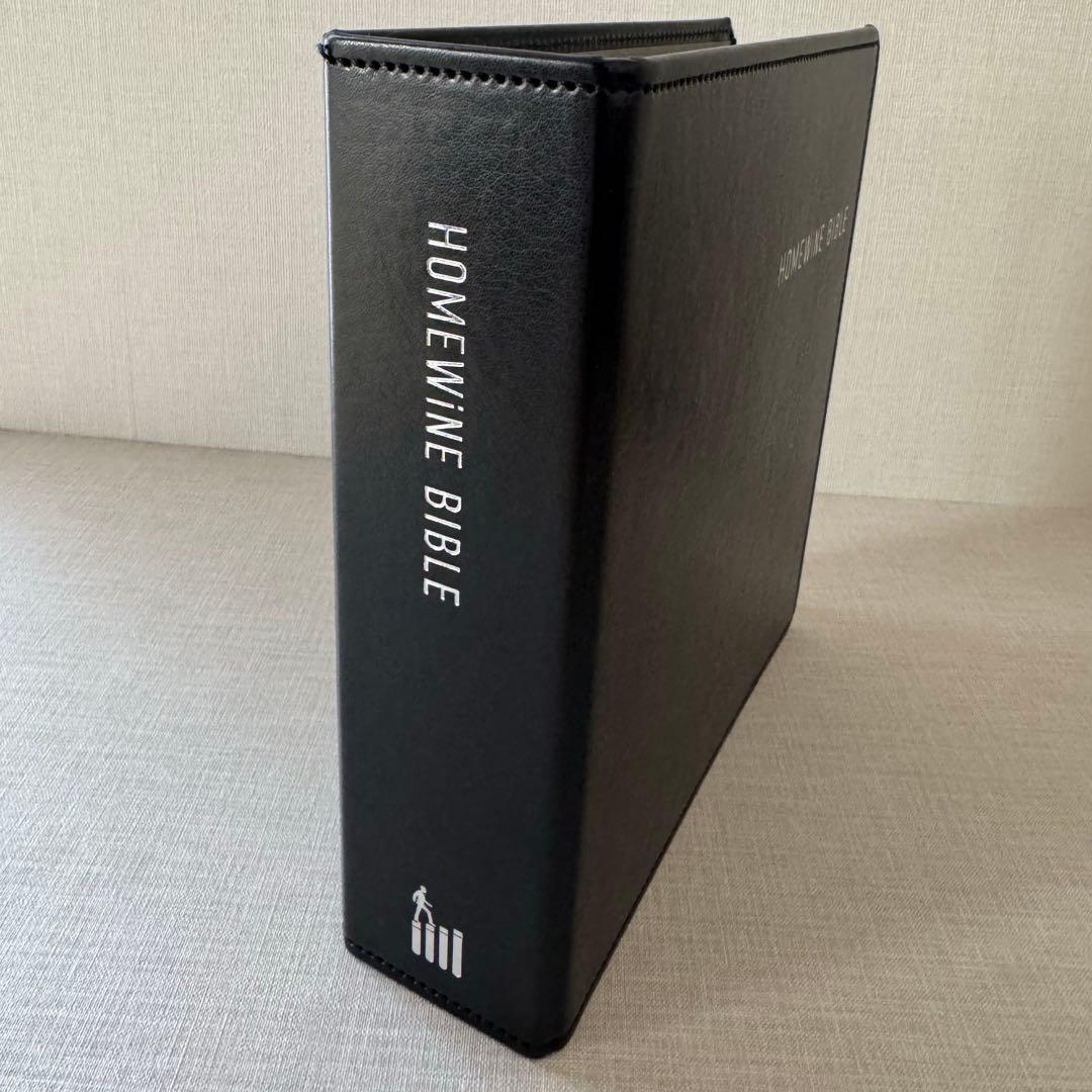 希少 河上知明 三昧琴 ざんまいきん 金属 打楽器 サマディボウル 直径12cm