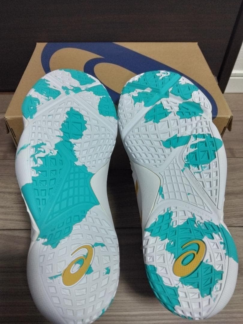 v*5様 asics_バスケットボールシューズ_UNPRE ARS LOW_28