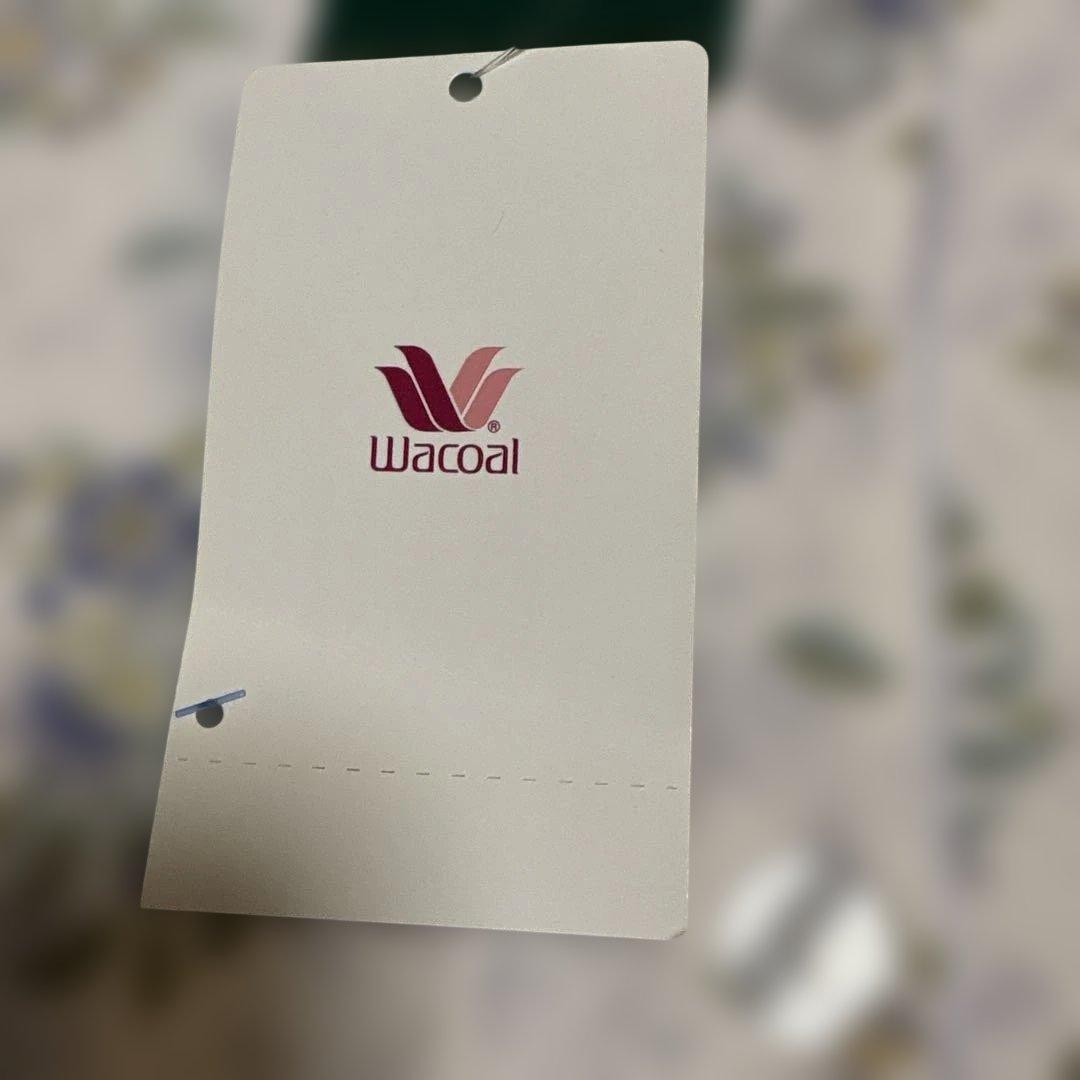 新品タグ付き【ワコール】MINTON 婦人パジャマ 冬物パジャマ Mサイズ