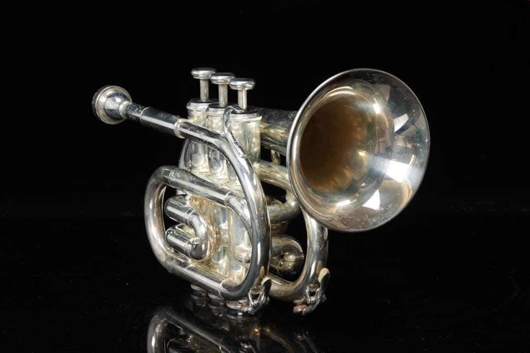 J.Michael ポケットトランペット ケース付き ミニトランペット 管楽器