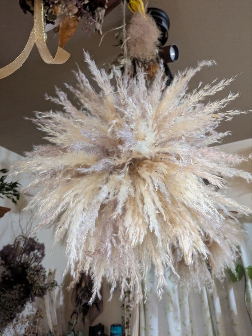 ドライフラワー☆特大2色のパンパスグラスふわふわフライングボール