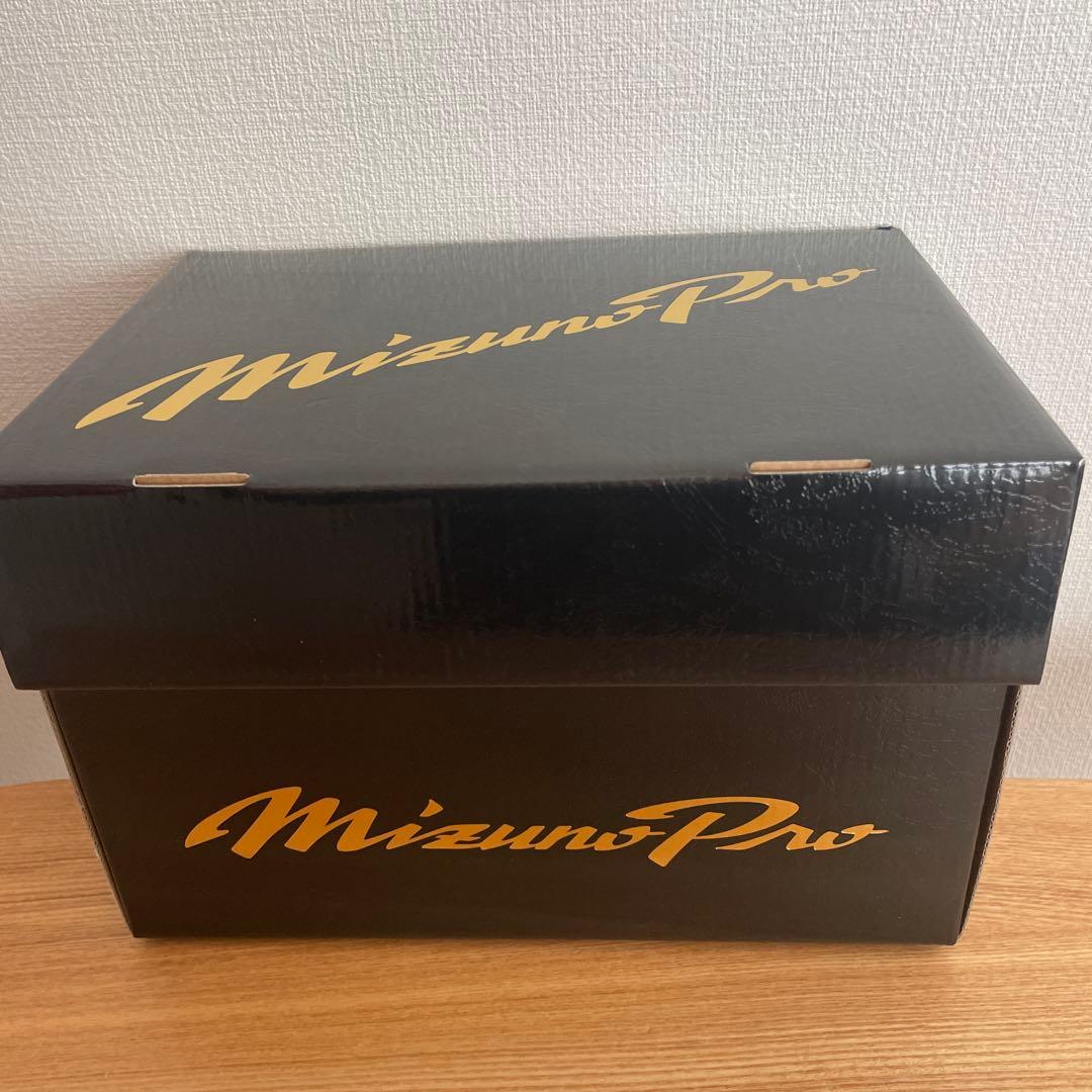 ミズノプロ　硬式用　キャッチャーミット　定価68,200円　B-D型