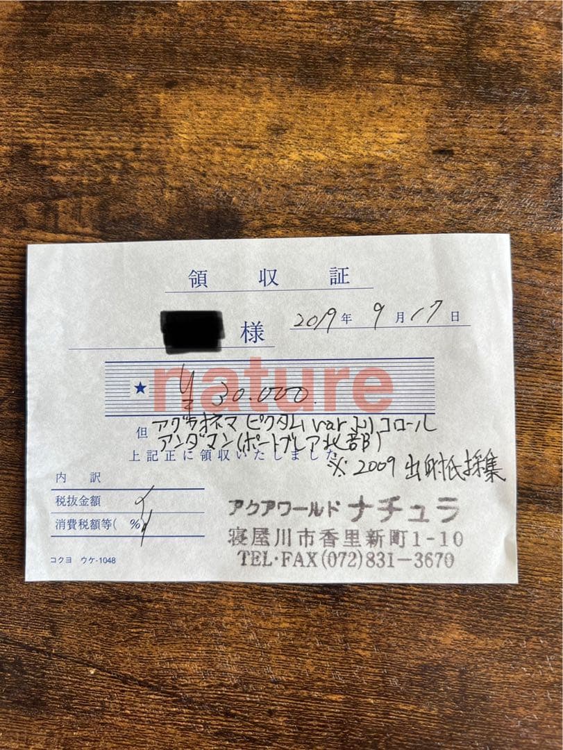 アグラオネマ ピクタム アンダマン