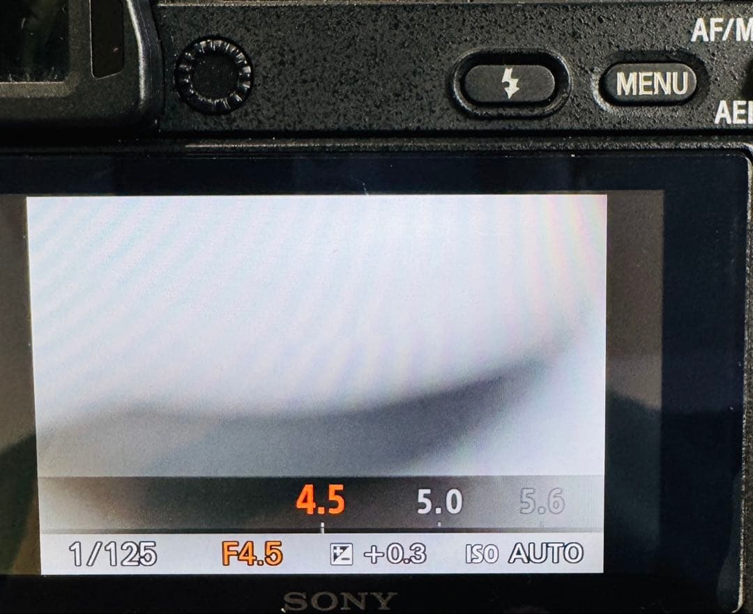 SONY FE70-300G 動作確認済