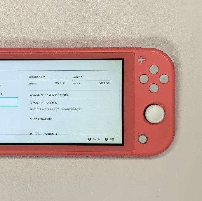 Nintendo Switch Lite 本体 動作品 2020