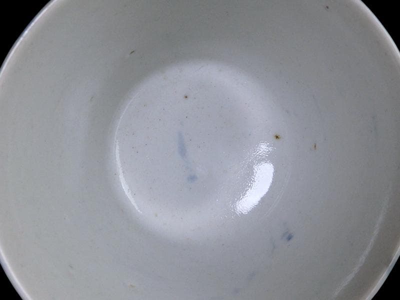 古伊万里　染付　藤の図　大振蕎麦猪口　江戸期　C038AS-CXa