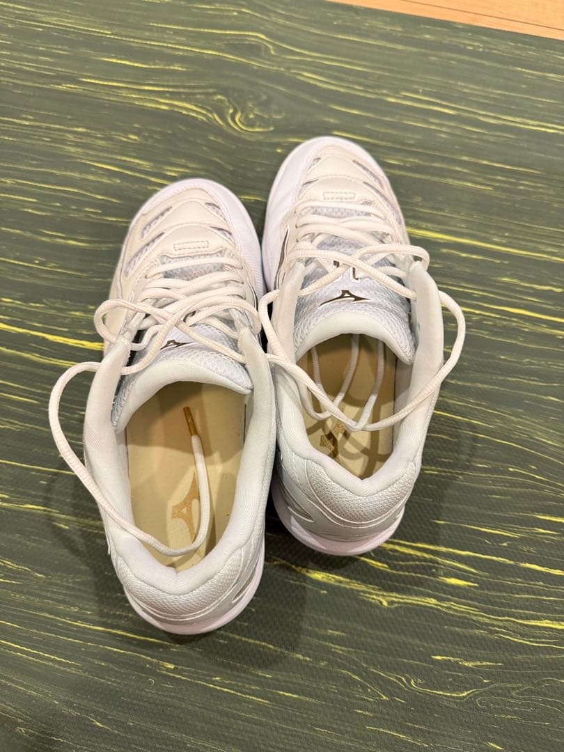 ミズノ ウエーブファングPro 26.5cm