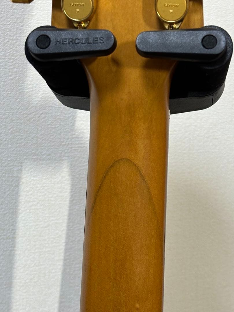 B*i様 FERNANDES フェルナンデス Burny mg-125s 後期 - メルカリ