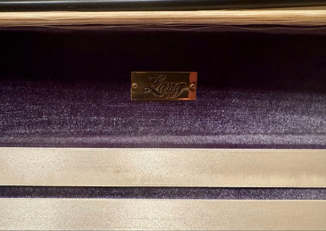 Gliga GEMS 4/4 バイオリンセット