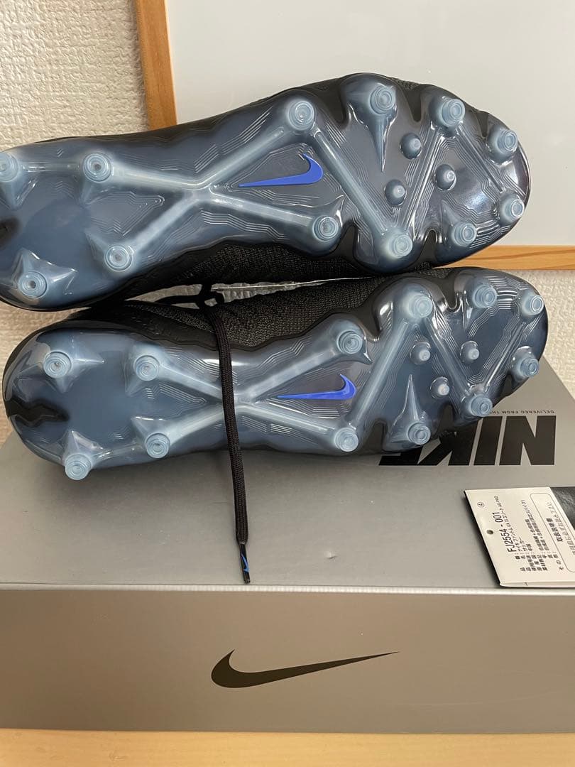 Nike ファントム GX 2 エリート AG-PRO FJ2554-001