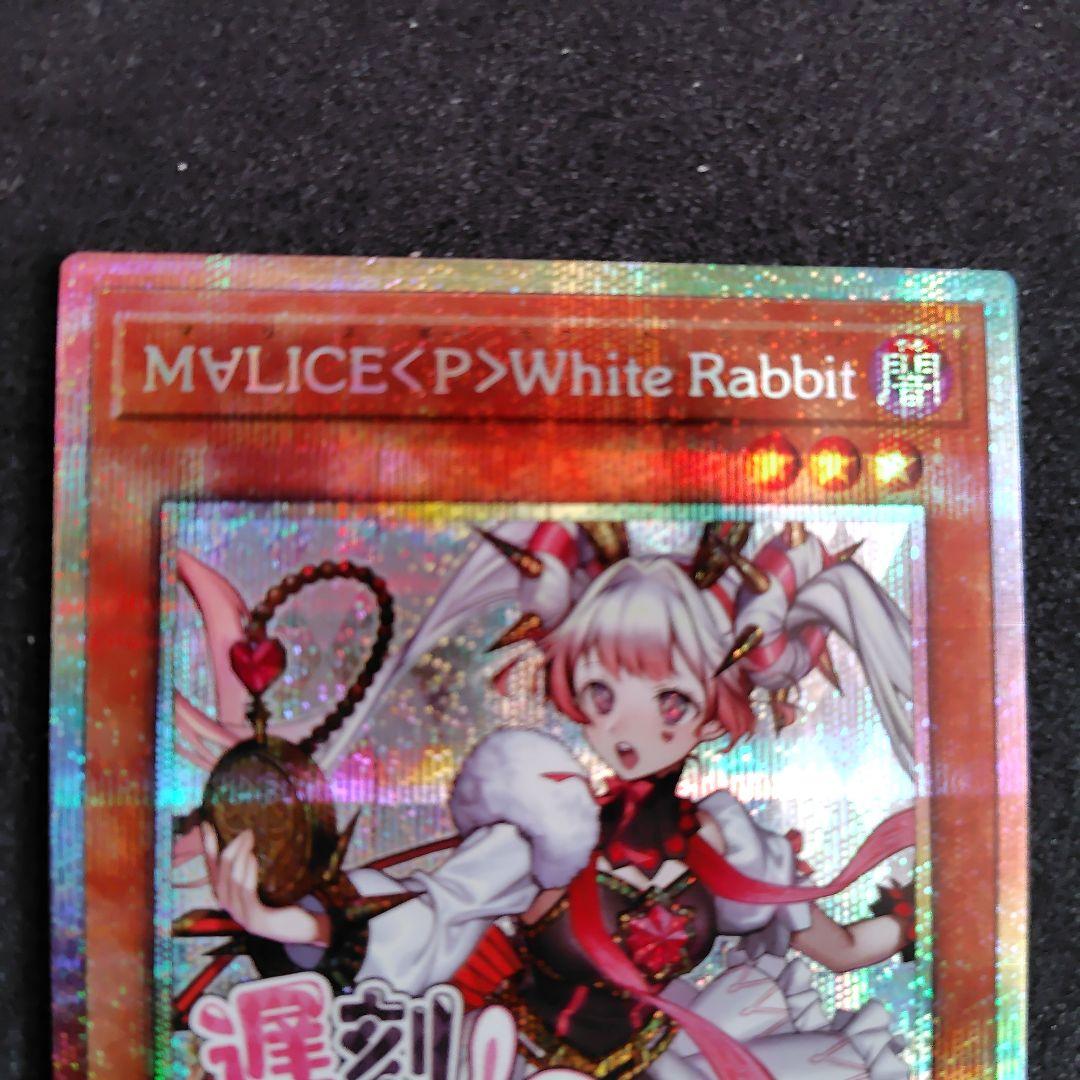 遊戯王　M∀LICE <P>White Rabbit ホワイトラビット　プリシク M∀LICE<P>White Rabbit | スーパー | ドラゴンスター | 遊戯王