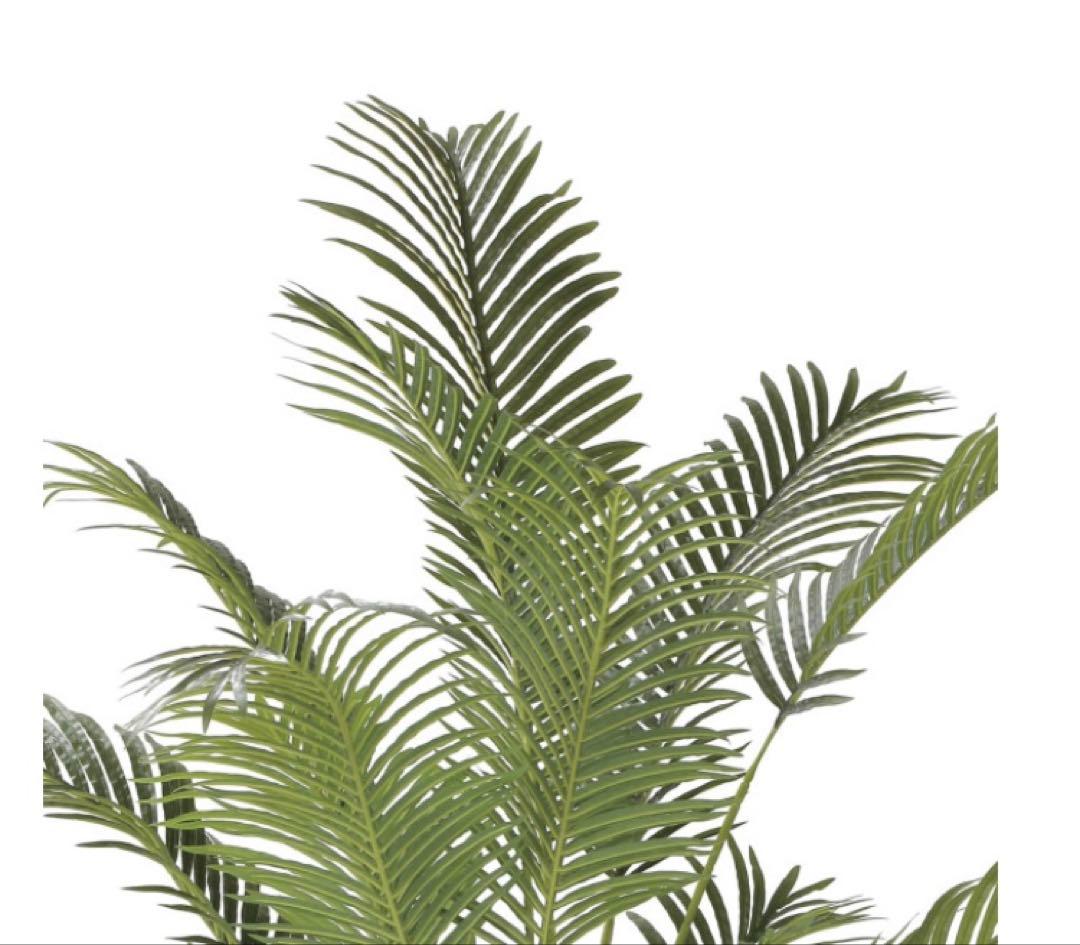 光触媒　人工観葉植物　フェイクグリーン　フレッシュパーム 1.8m