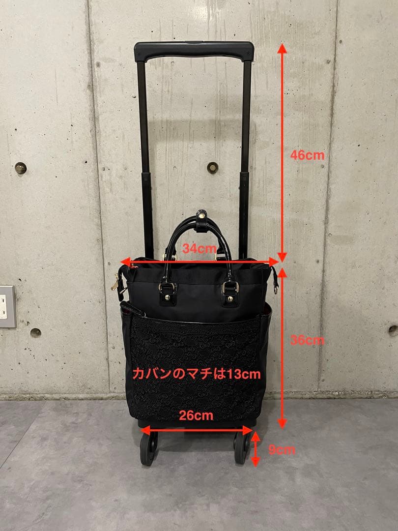 【保証書付き】SWANY スワニー　ハローキティ　キャリーバック