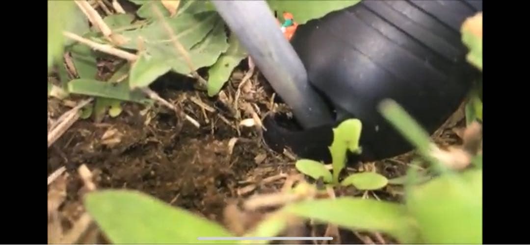 BUNDOK ソロティピー 1 BDK-75 ペグ金槌一式 自作の改造品です。