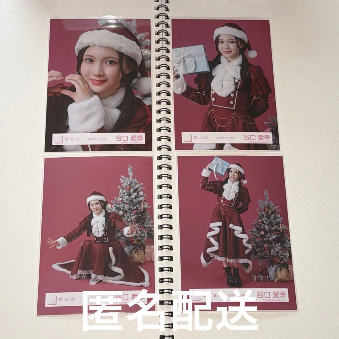 櫻坂46 生写真 2025年サンタ衣装 谷口愛季 - メルカリ