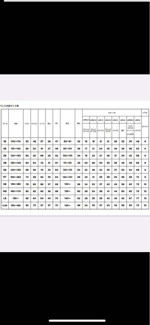 Chacott チャコット❣️『クラッシック　ボン（Lサイズ）』日本製