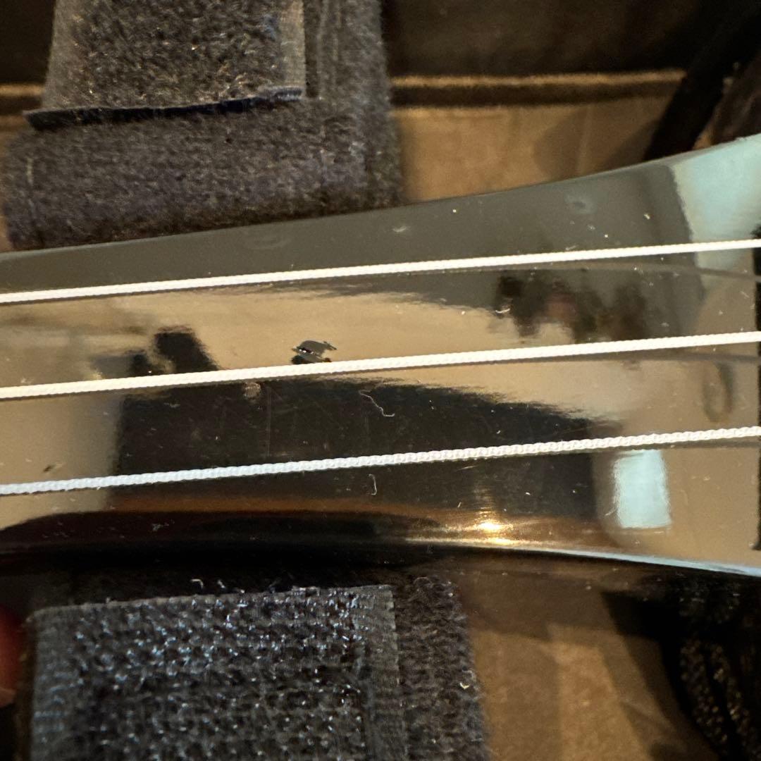 ヘビ柄三線 本体 専用ケース付き