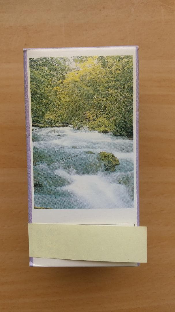 ヒノキオイル ※青森ヒバ油 (精油) 1000㎖ ( 虫よけ・抗菌・アロマ・等)