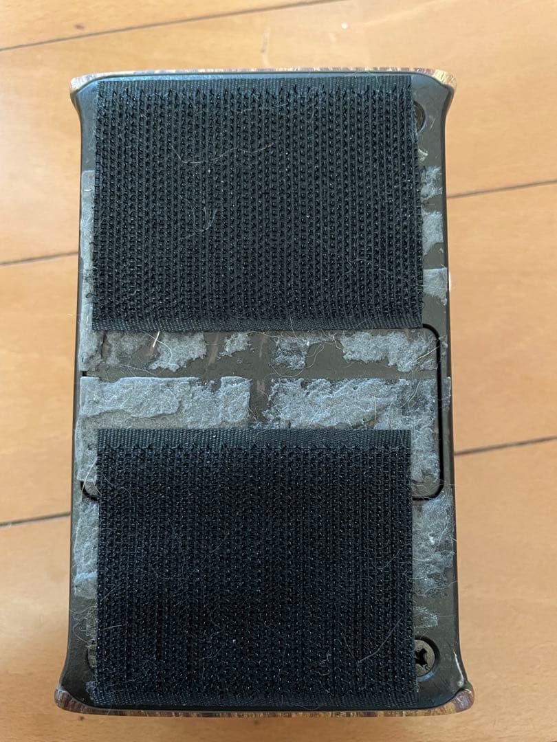 ギター L.R.Baggs ALIGN Series SESSION