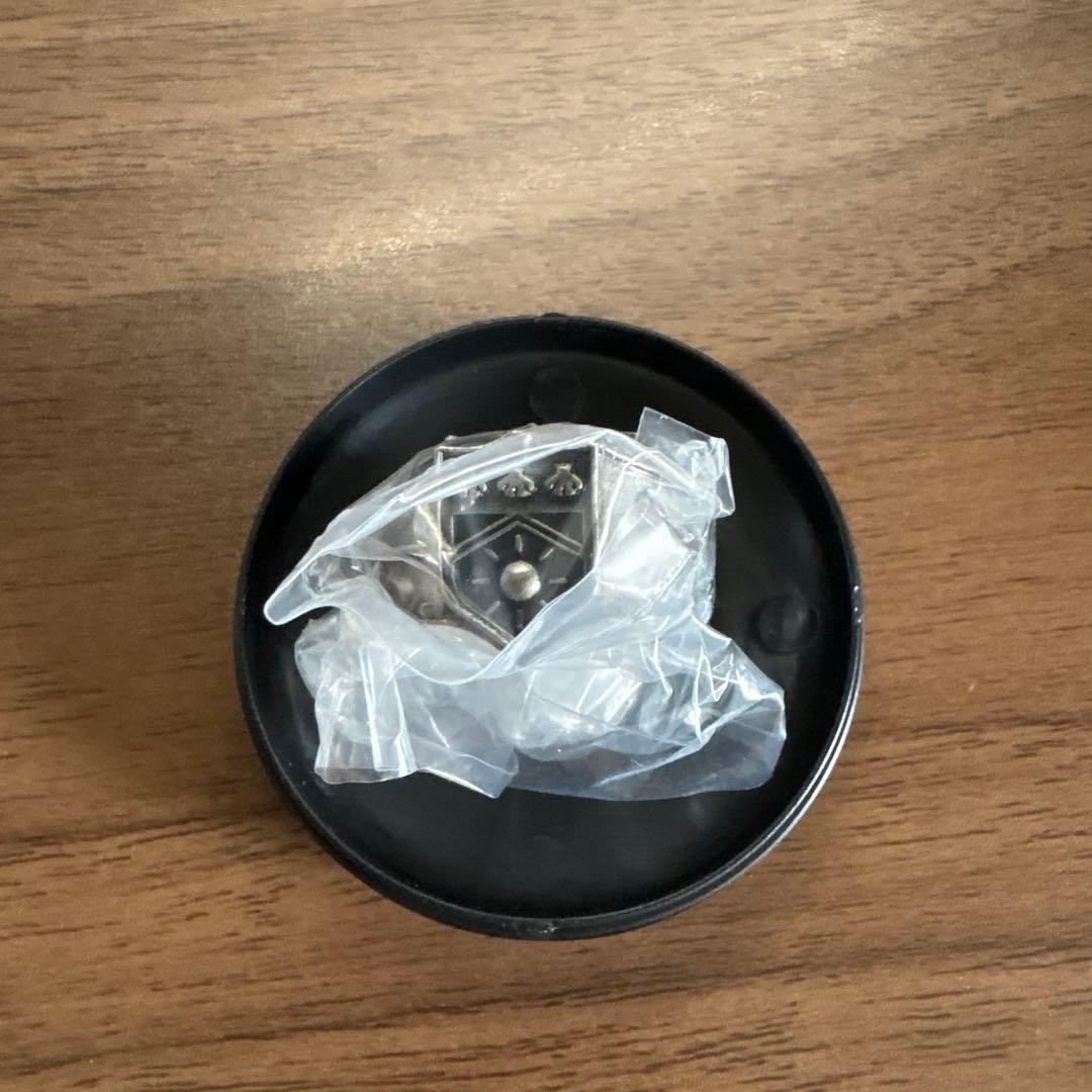 家庭教師ヒットマンREBORN! DX ボンゴレリング　セミコンプ