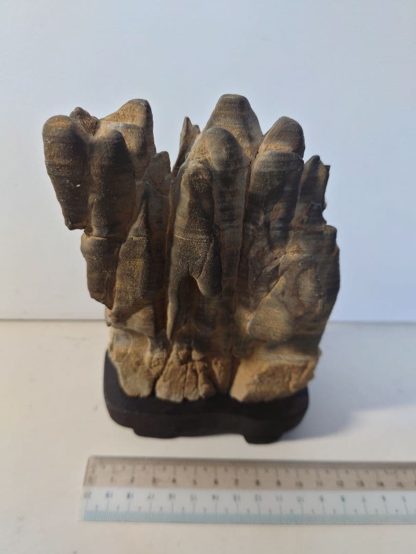 長者抹香石 塔連山 水石 鑑賞石 - メルカリ