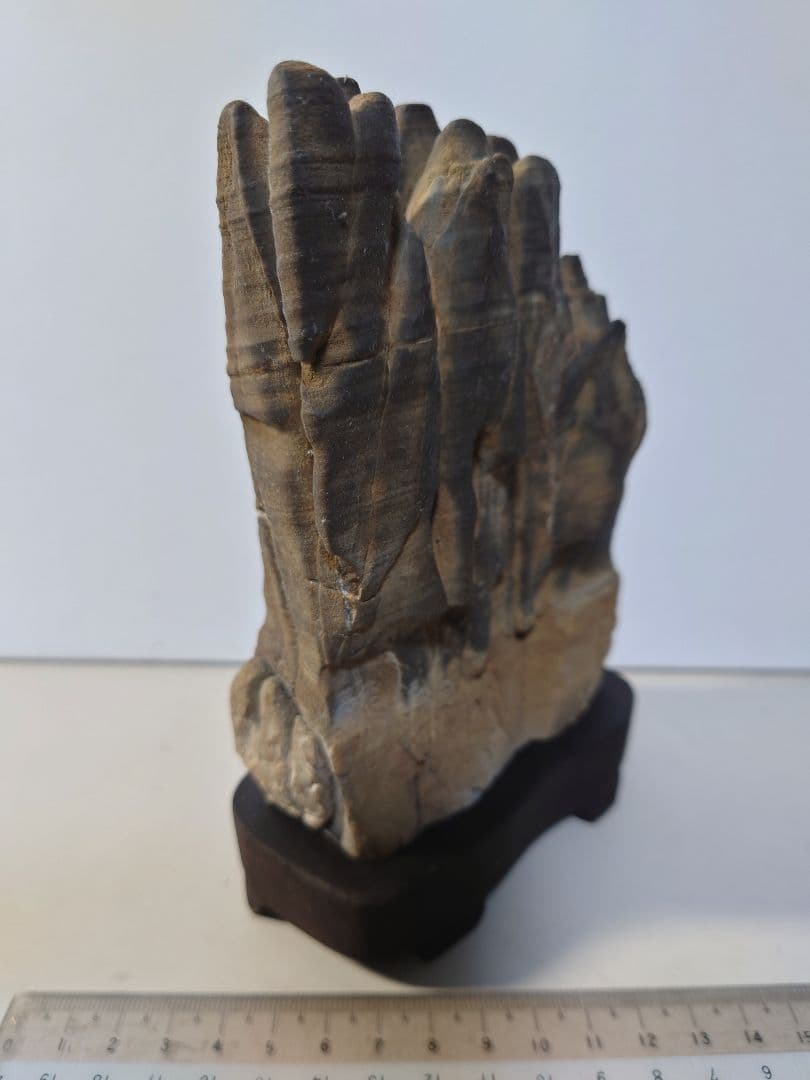 長者抹香石 塔連山 水石 鑑賞石 - メルカリ