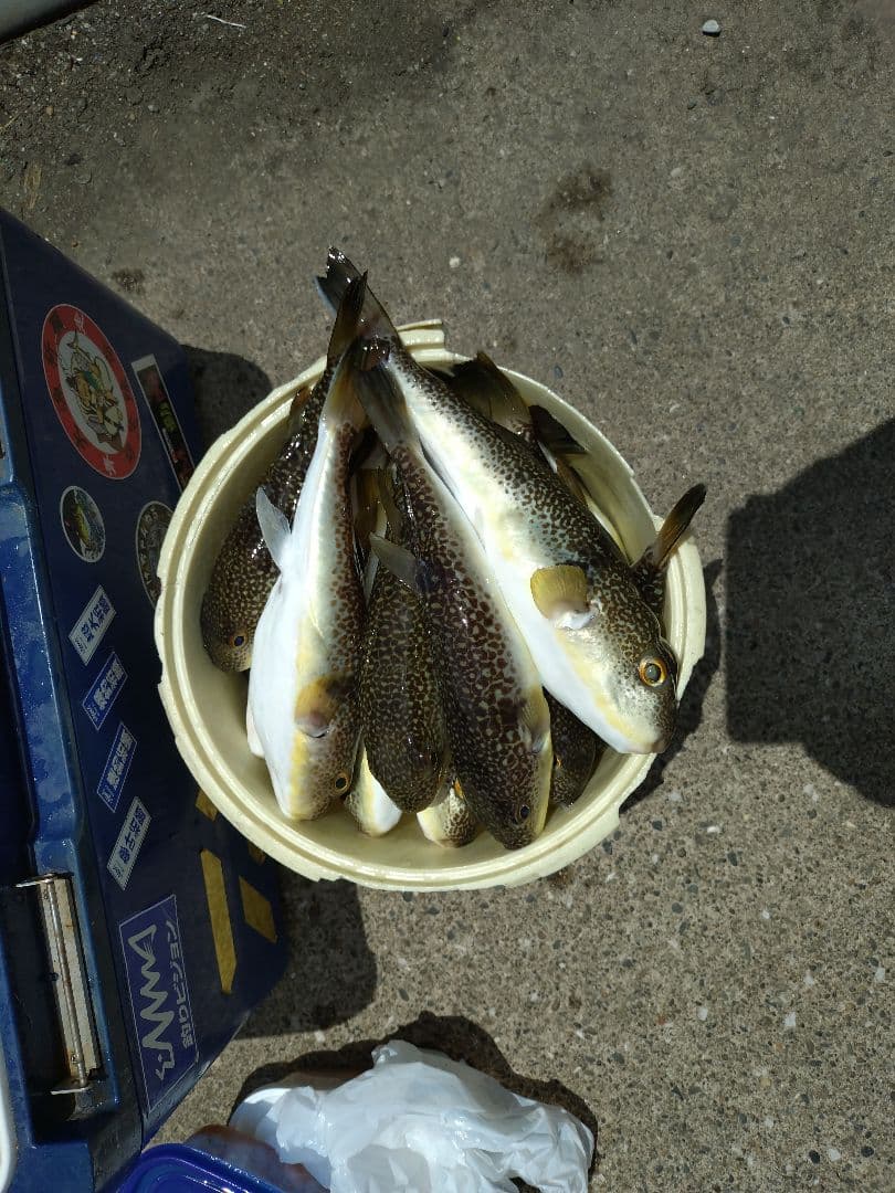 ★美品★湾ふぐロッドSHIMANO BAYGAME 船竿 180cm CI4+