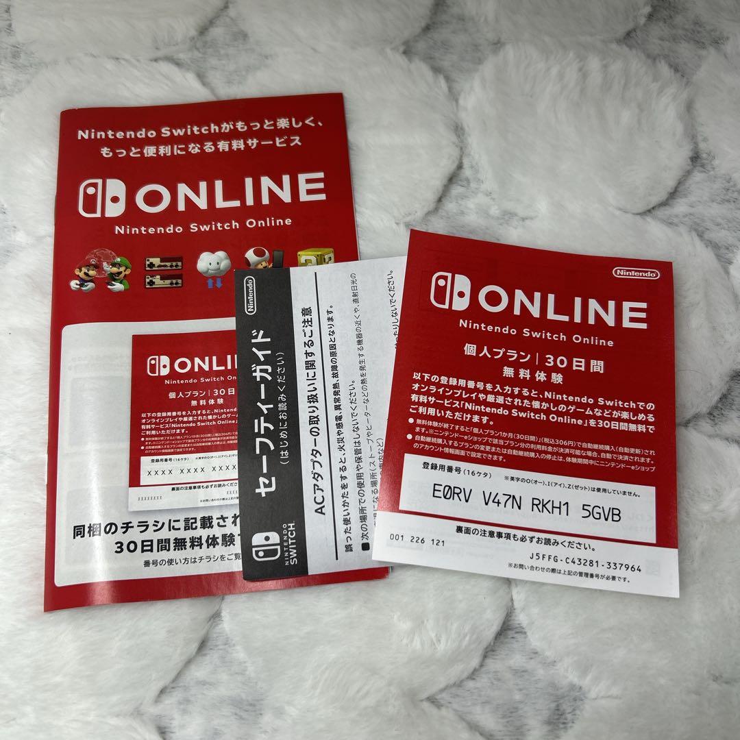 ［極美品］Nintendo Switch Lite ターコイズ 本体