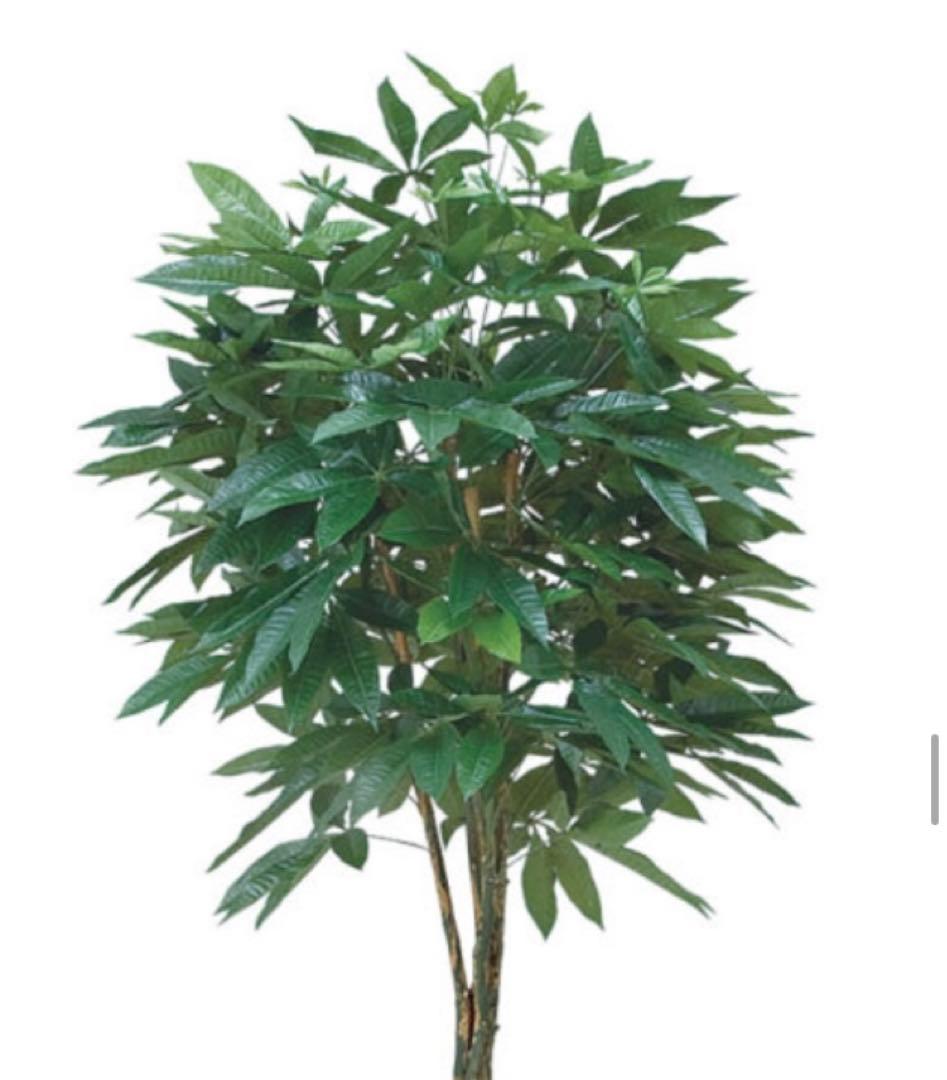 光触媒　人工観葉植物　ウォールグリーン　フェイクグリーン　パキラ 1.6m