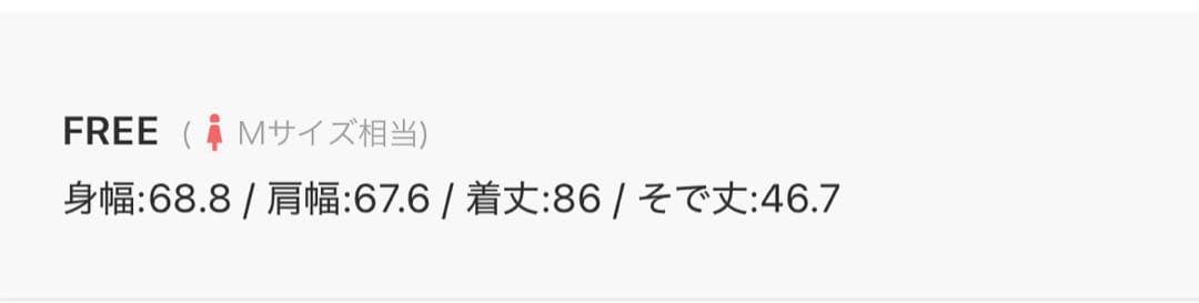 フィグロンドン　DICROS AIRO big BZ