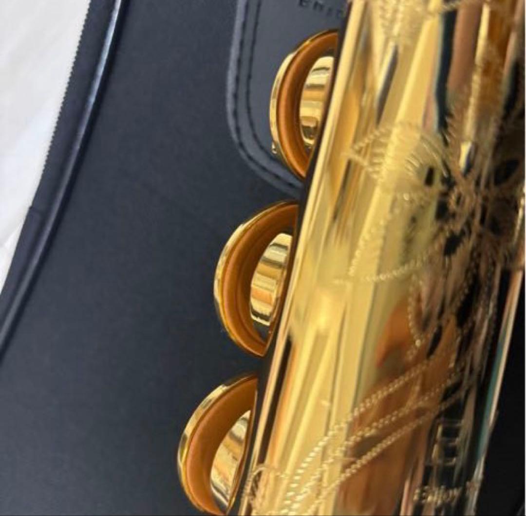 ソプラノサックス 本体 ソフトケース付き