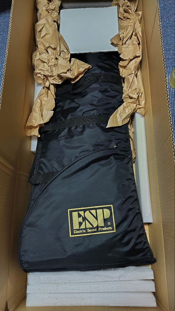 ギター ESP edwars e-mv-125fr Turquoise green