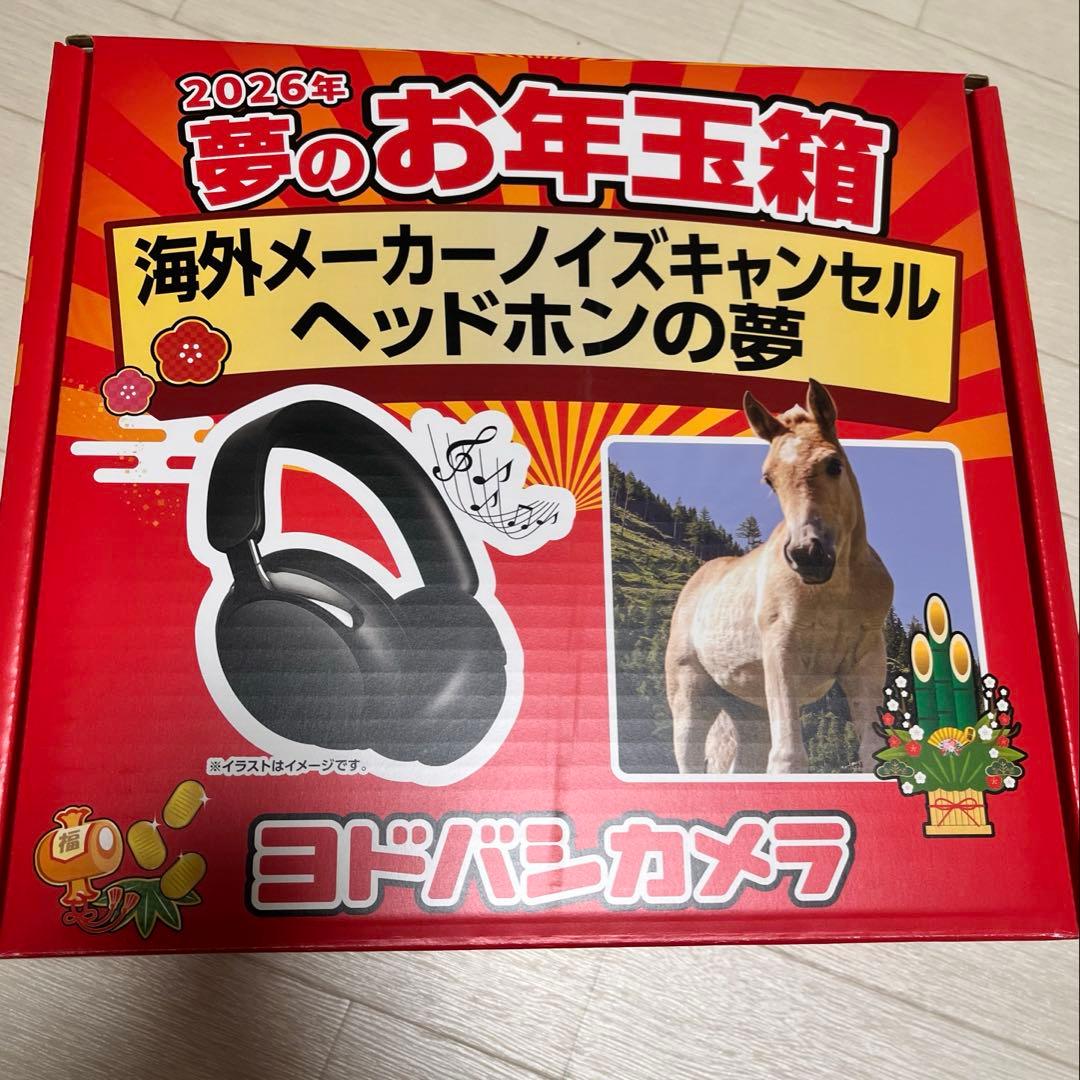 2026年 夢のお年玉箱 海外メーカーノイズキャンセル ヘッドホンの夢